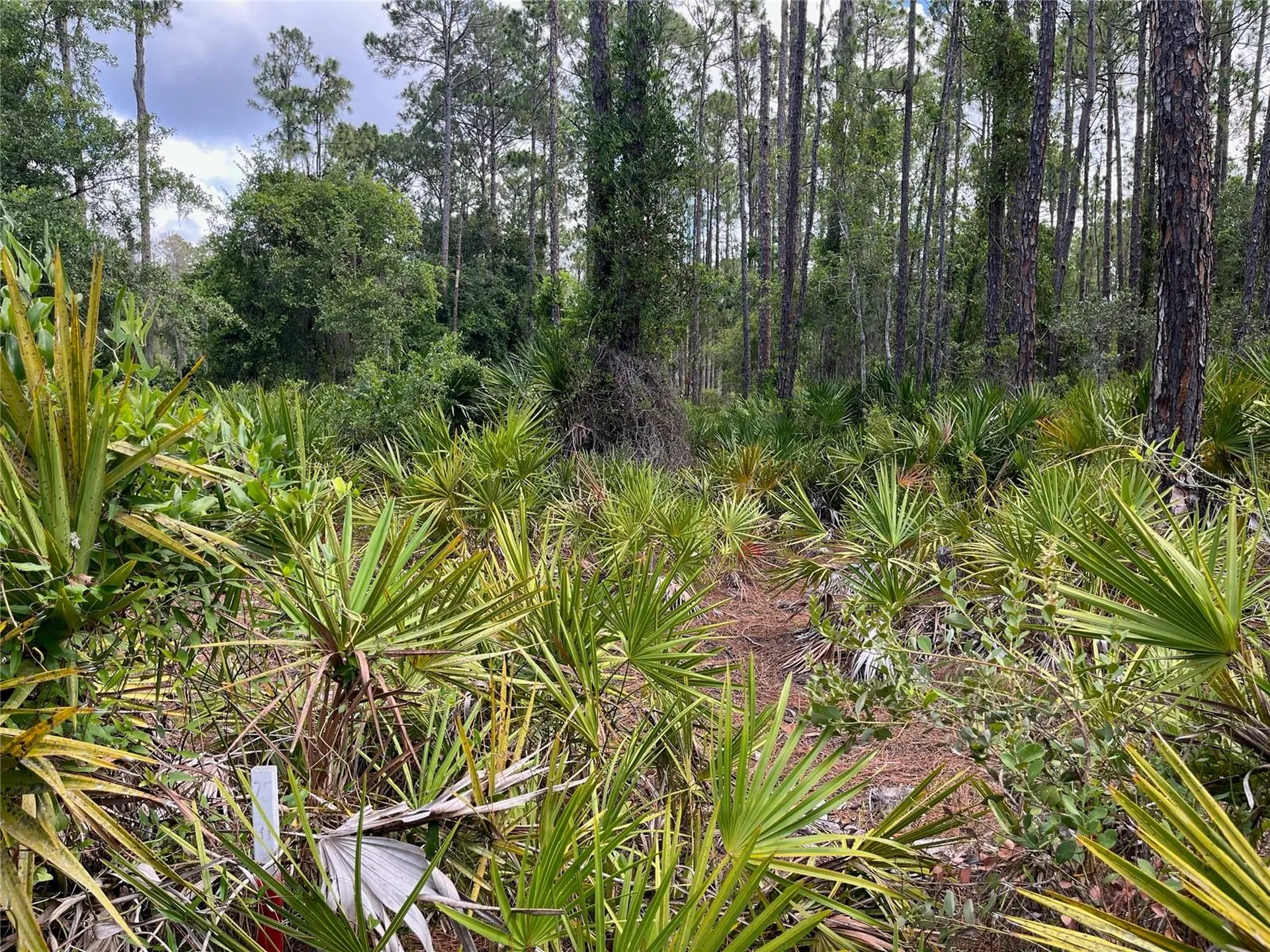 222 Marie Avenue Georgetown FL 32139