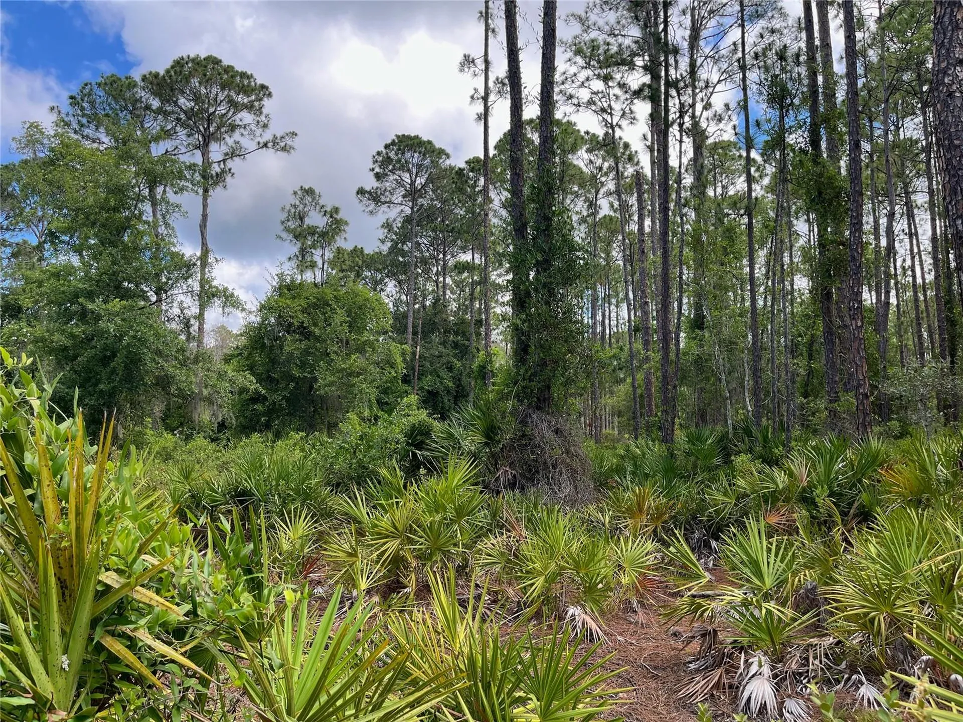 222 Marie Avenue Georgetown FL 32139