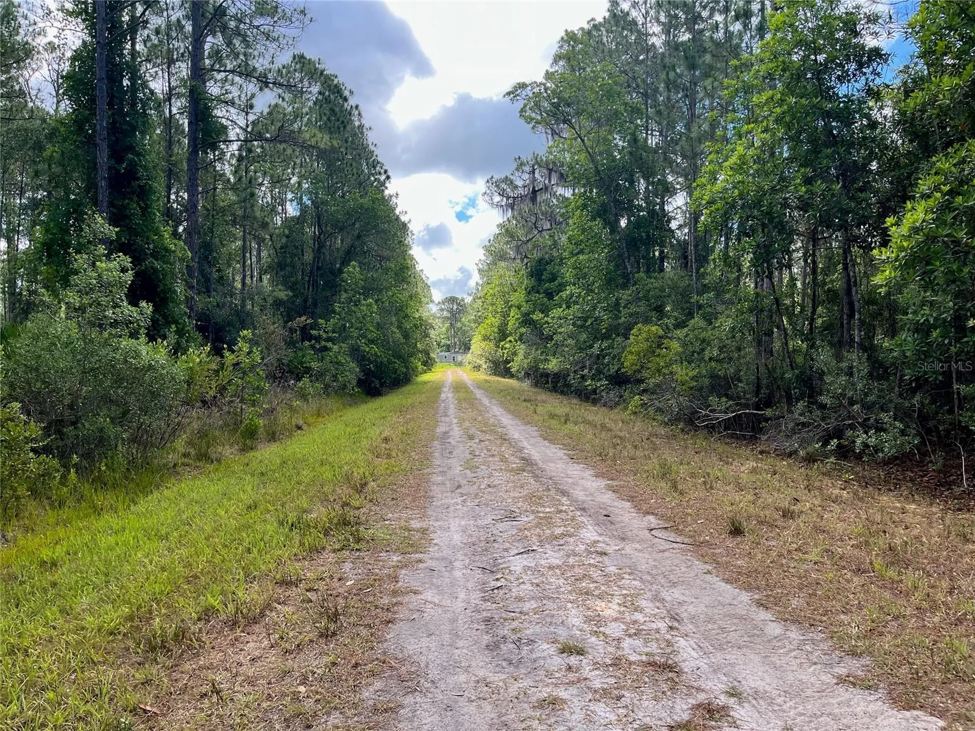 222 Marie Avenue Georgetown FL 32139