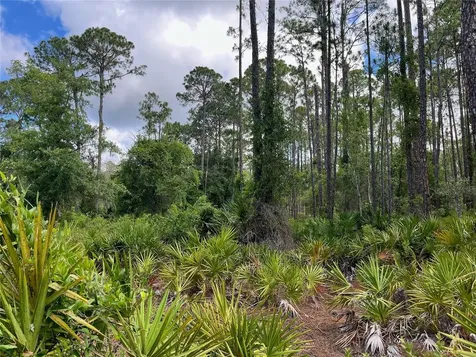 222 Marie Avenue Georgetown FL 32139