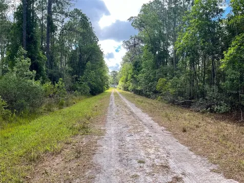222 Marie Avenue Georgetown FL 32139