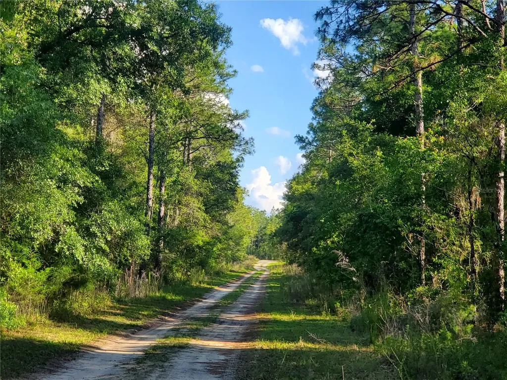 Tbd SW 159 Avenue Ocala FL 34481