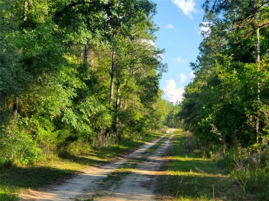 Tbd SW 159 Avenue Ocala FL 34481
