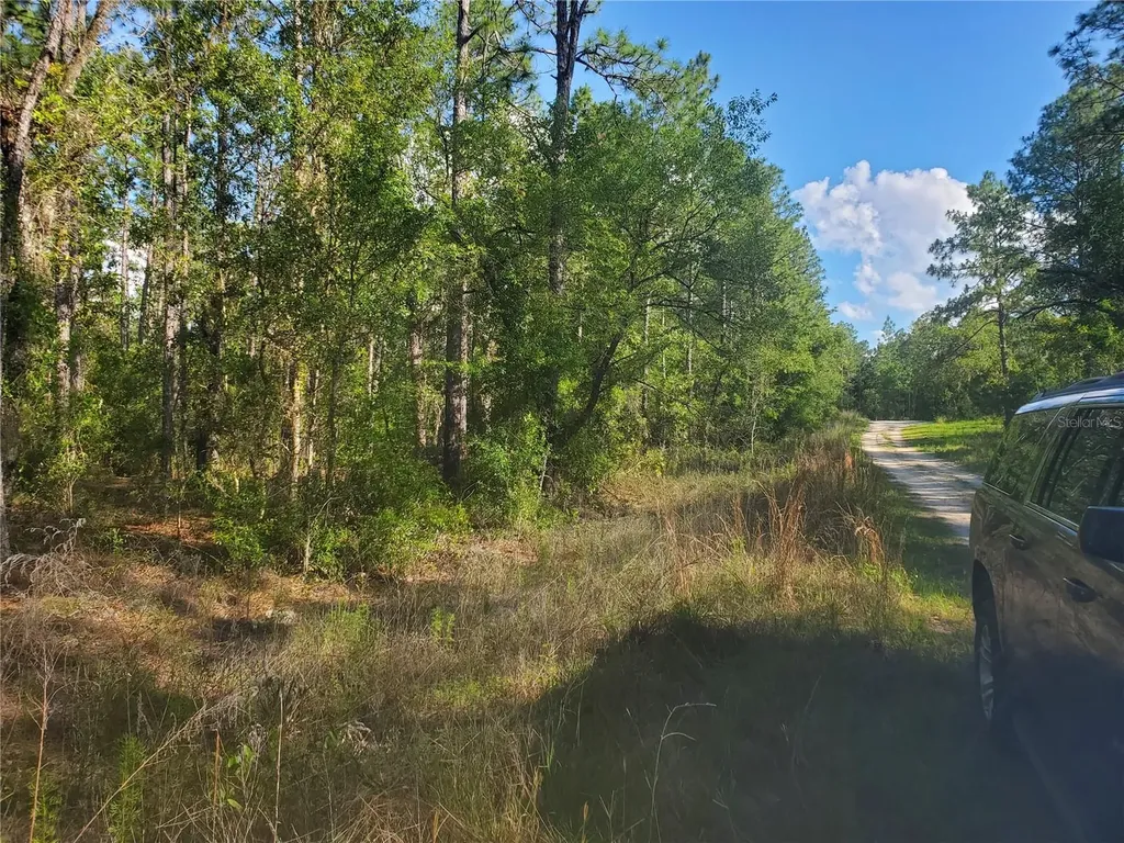 Tbd SW 159 Avenue Ocala FL 34481