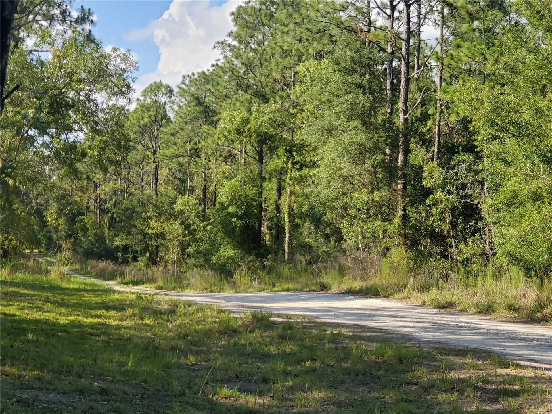 Tbd SW 159 Avenue Ocala FL 34481
