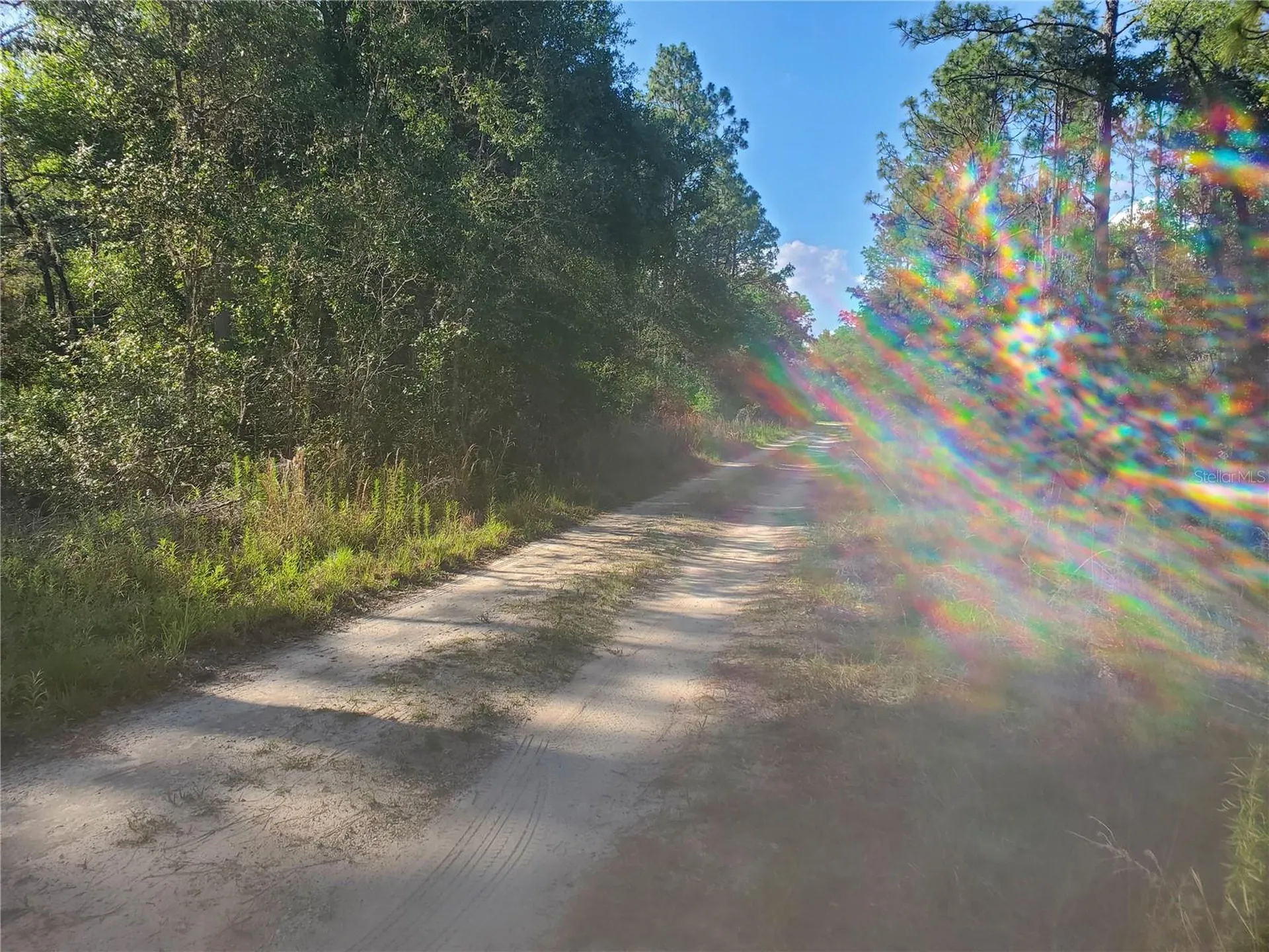 Tbd SW 159 Avenue Ocala FL 34481