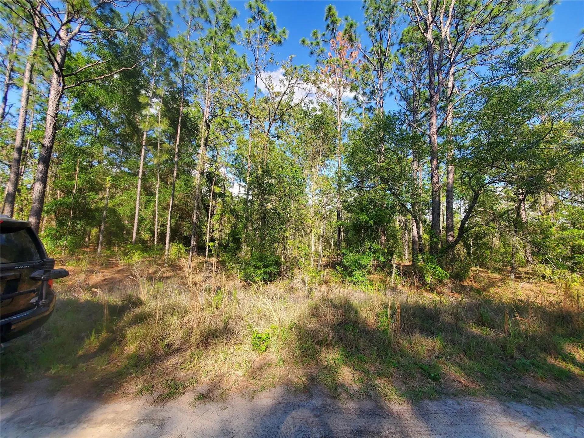 Tbd SW 159 Avenue Ocala FL 34481