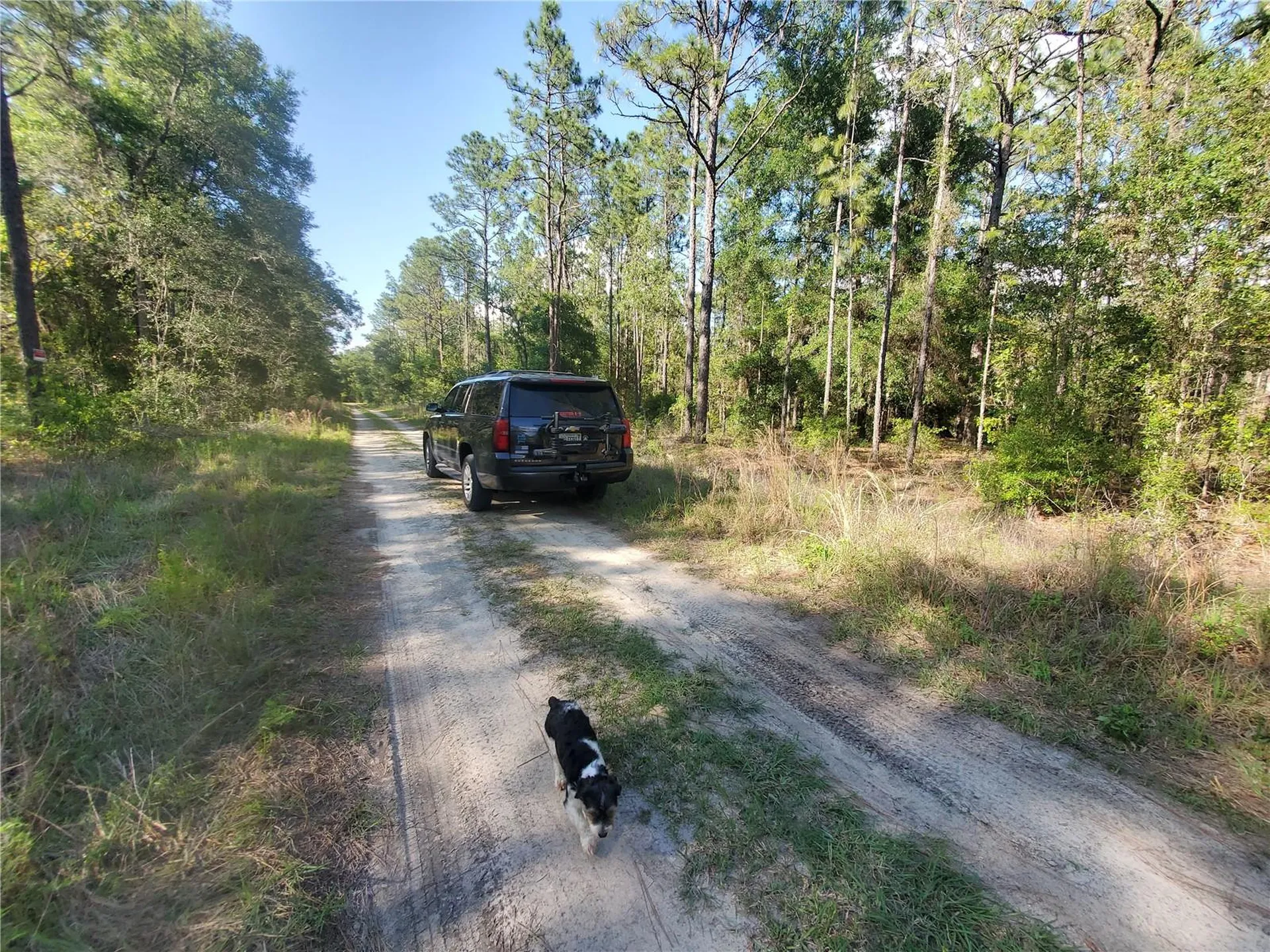Tbd SW 159 Avenue Ocala FL 34481