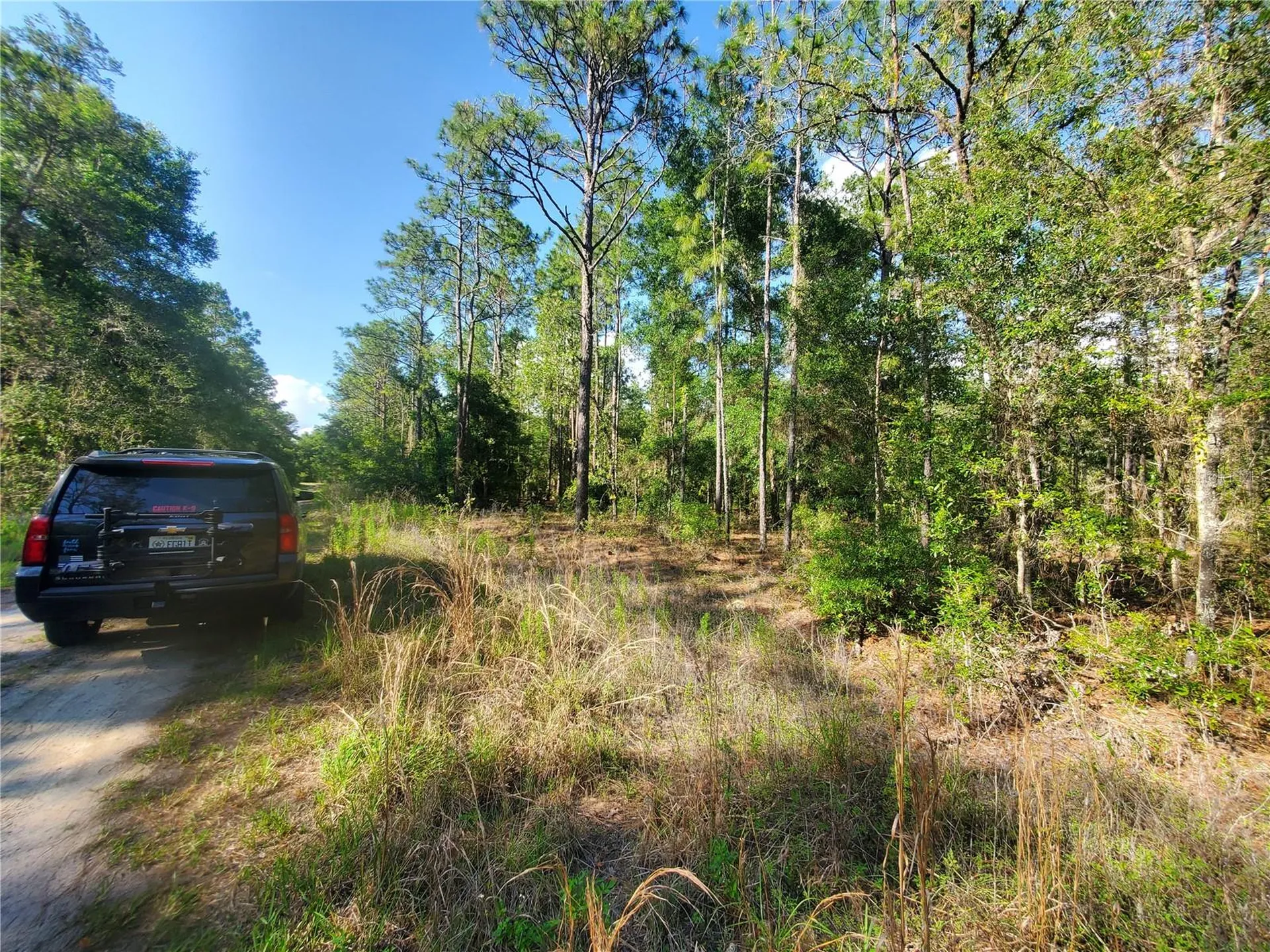 Tbd SW 159 Avenue Ocala FL 34481