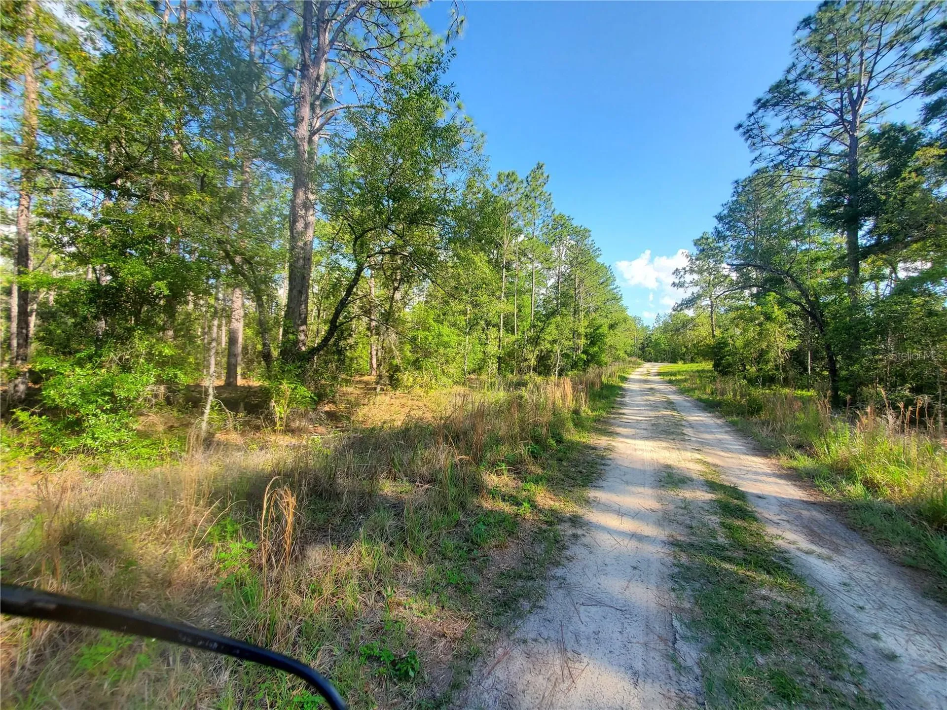 Tbd SW 159 Avenue Ocala FL 34481