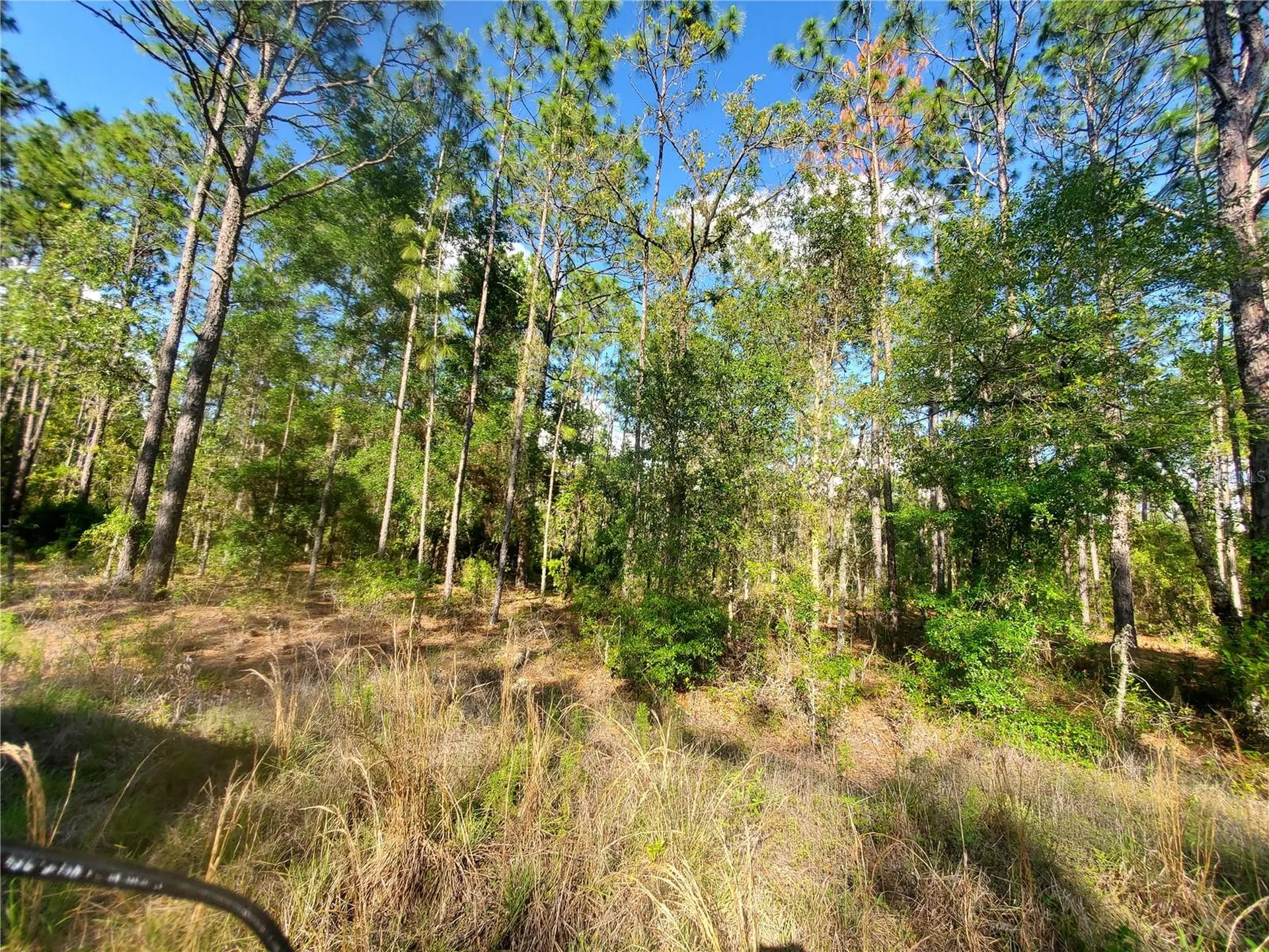 Tbd SW 159 Avenue Ocala FL 34481
