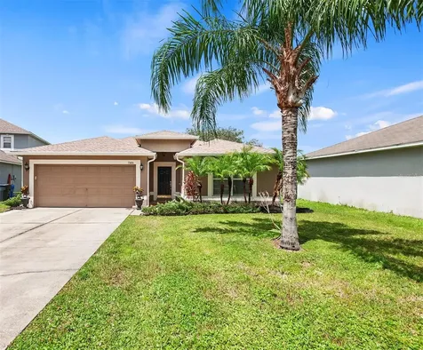 13406 Copper Head Drive Riverview FL 33569