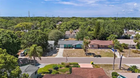 147 Talley Drive Palm Harbor FL 34684