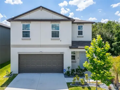 12693 Maple Bonsai Drive Riverview FL 33579