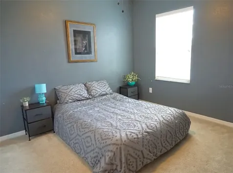 12307 Bayou Flats Lane Tampa FL 33635