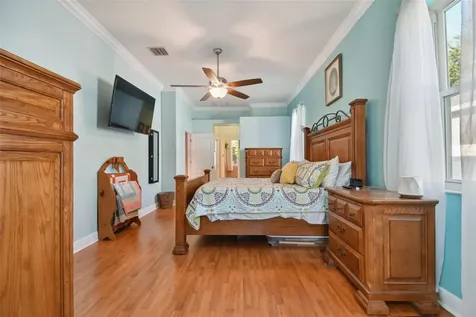2745 Abbey Grove Drive Valrico FL 33594