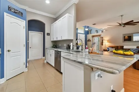 2745 Abbey Grove Drive Valrico FL 33594