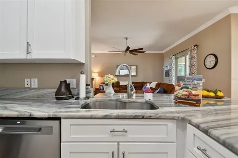 2745 Abbey Grove Drive Valrico FL 33594