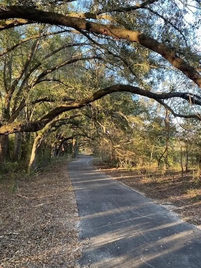 SW 21st Place Newberry FL 32669