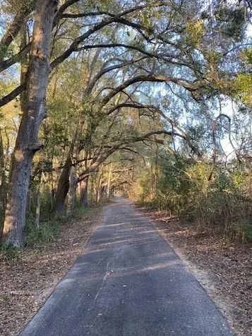 SW 21st Place Newberry FL 32669