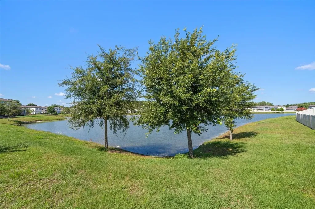 20591 Monza Loop Land O Lakes FL 34638