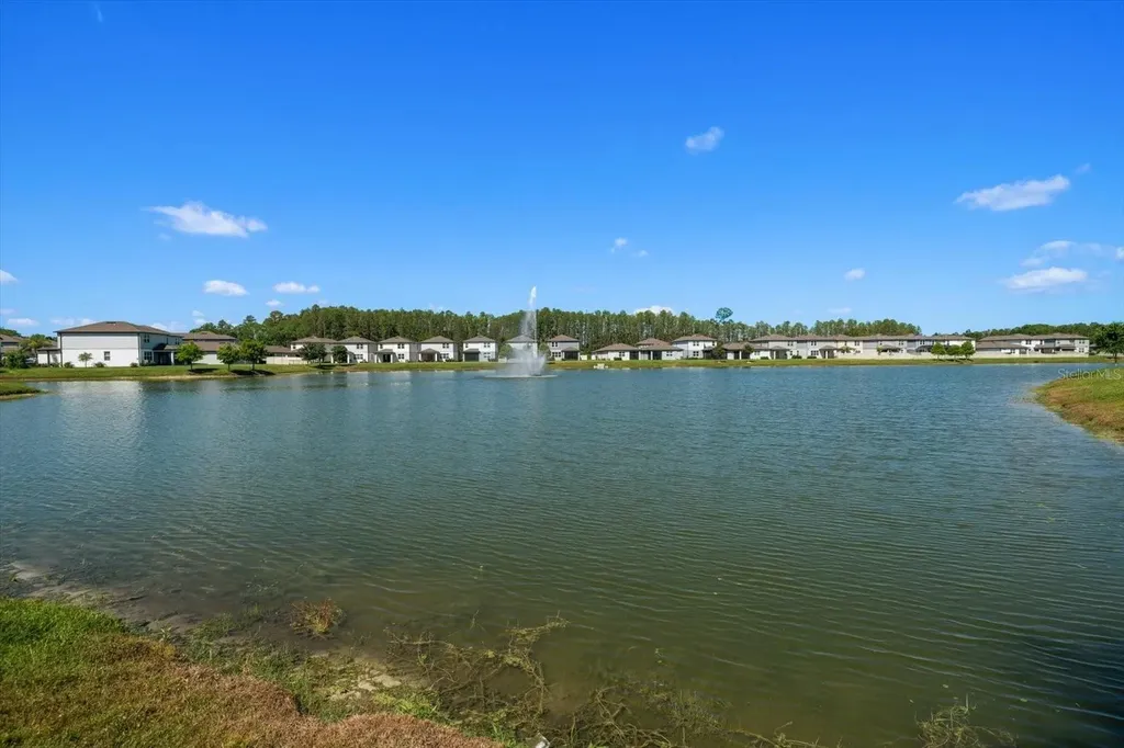 20591 Monza Loop Land O Lakes FL 34638