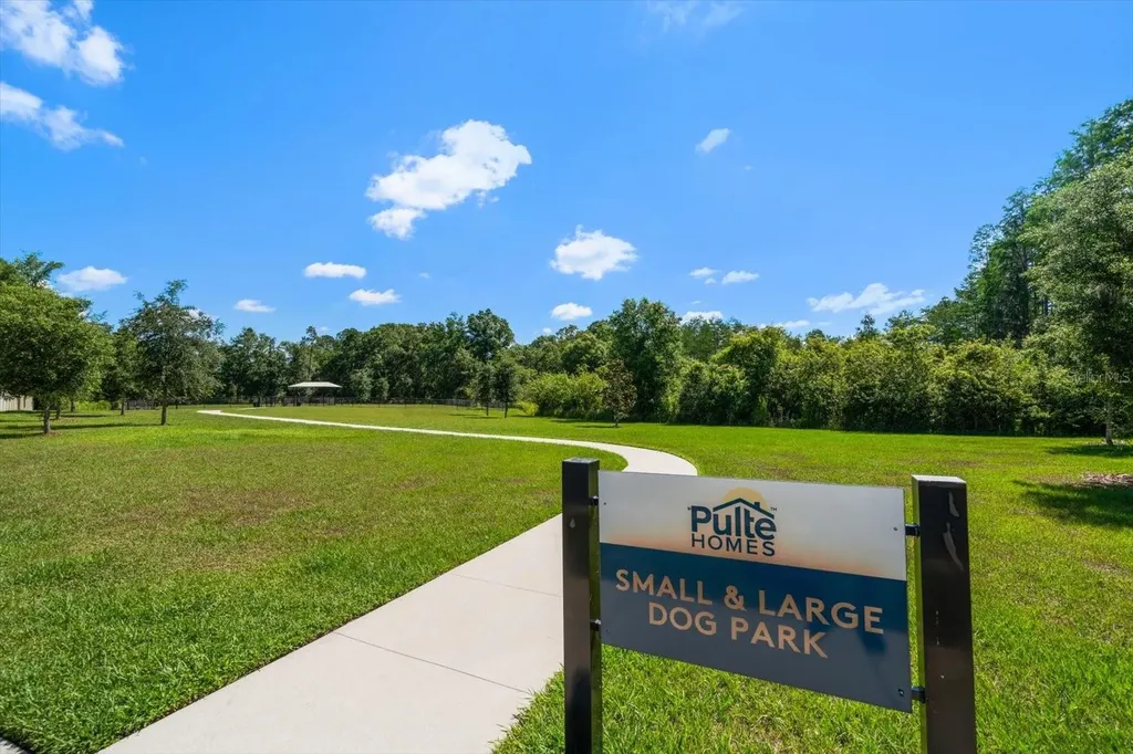20591 Monza Loop Land O Lakes FL 34638