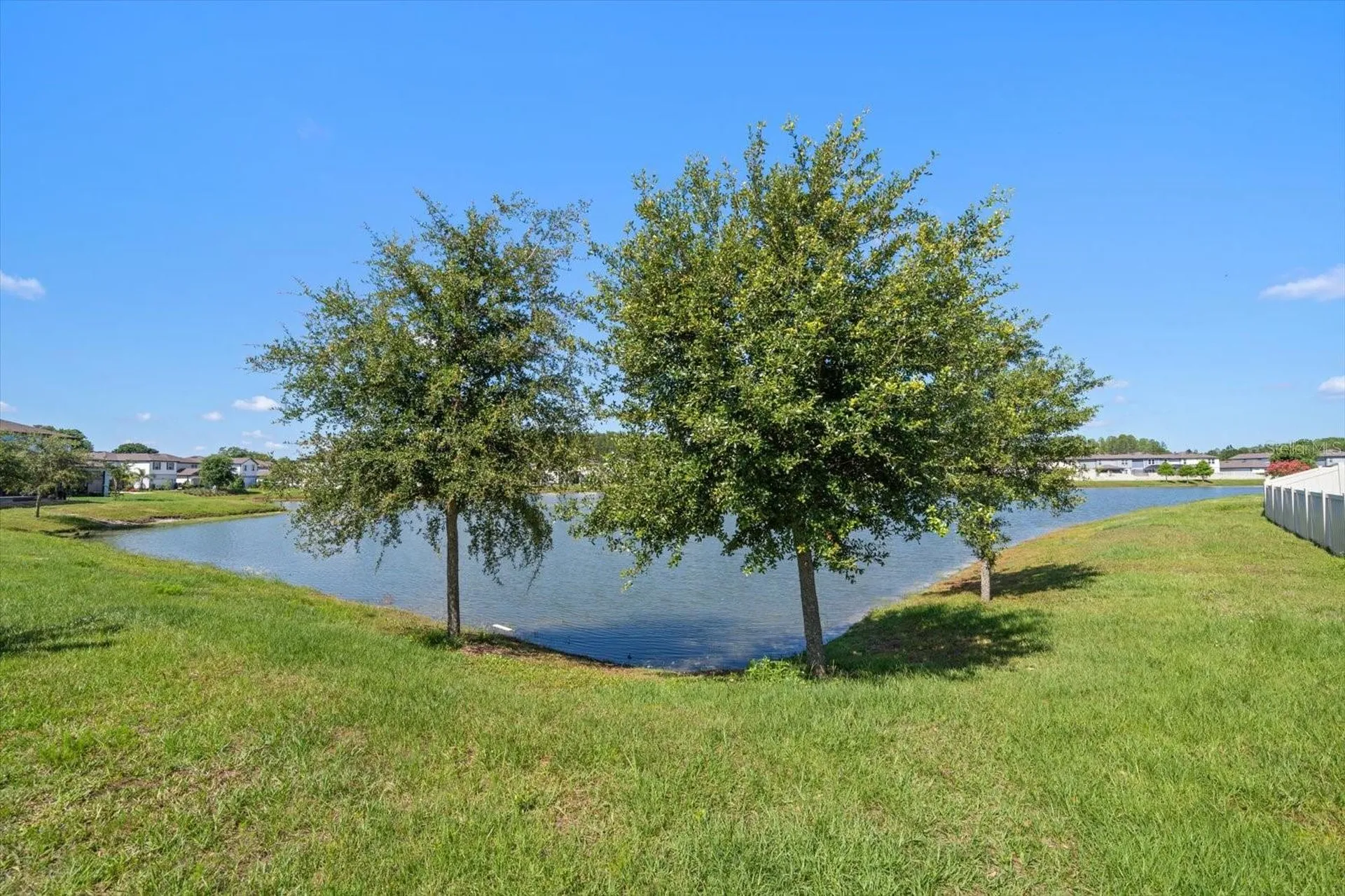 20591 Monza Loop Land O Lakes FL 34638