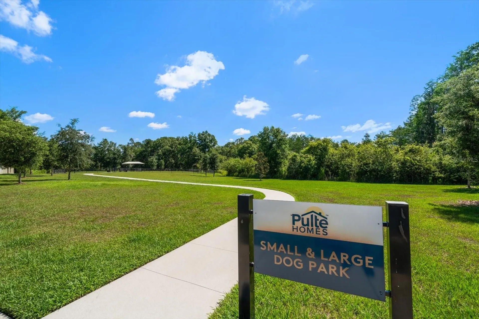20591 Monza Loop Land O Lakes FL 34638