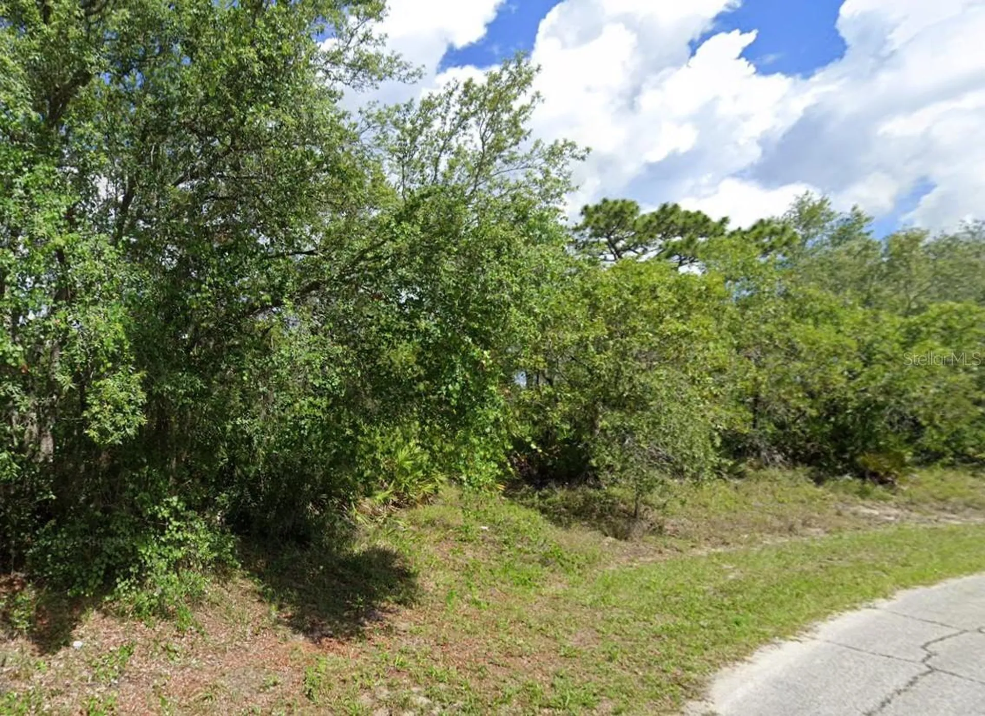 525 Street Johns Court Kissimmee FL 34759