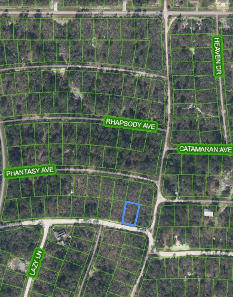 284 Deerwalk Avenue Lake Placid FL 33852