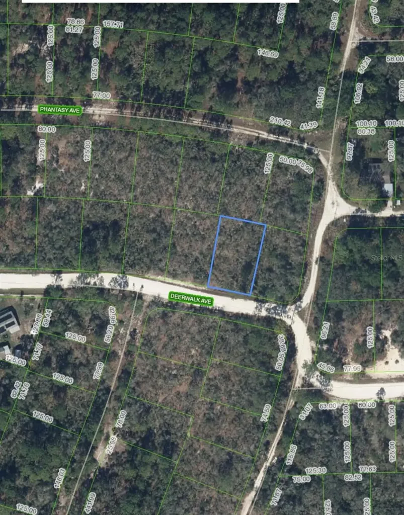 284 Deerwalk Avenue Lake Placid FL 33852