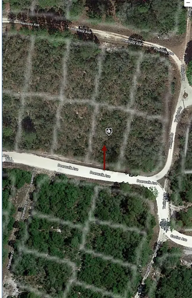 284 Deerwalk Avenue Lake Placid FL 33852