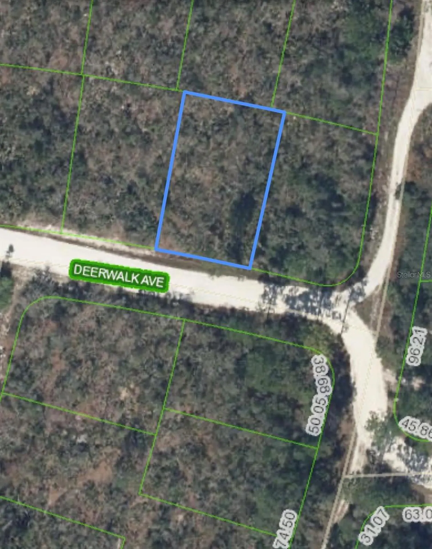 284 Deerwalk Avenue Lake Placid FL 33852