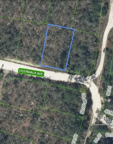 284 Deerwalk Avenue Lake Placid FL 33852