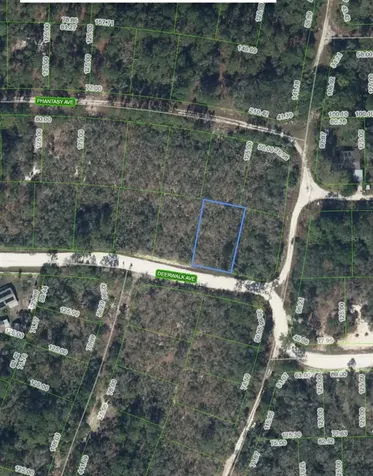 284 Deerwalk Avenue Lake Placid FL 33852
