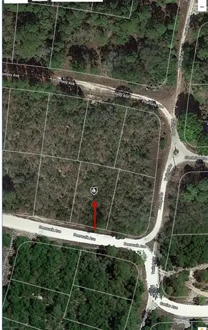 284 Deerwalk Avenue Lake Placid FL 33852