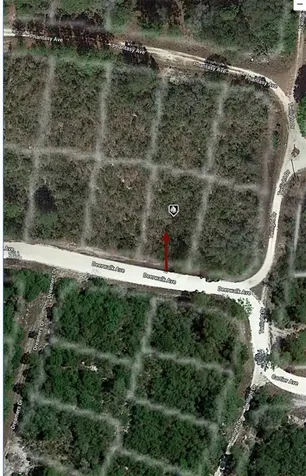 284 Deerwalk Avenue Lake Placid FL 33852