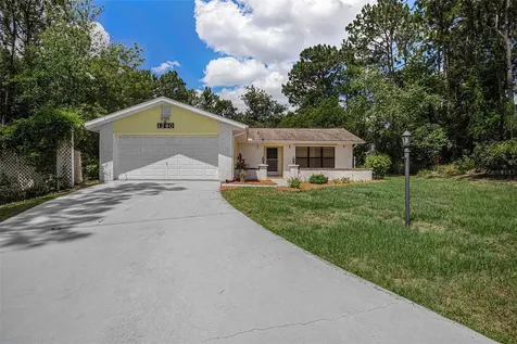 1240 W Hemlock Drive Citrus Springs FL 34434