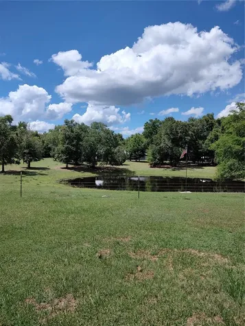 13057 SE 122nd Place Ocklawaha FL 32179