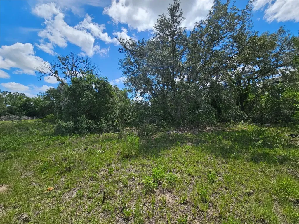 5751 NE 106th Court Bronson FL 32621