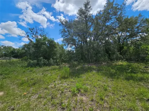 5751 NE 106th Court Bronson FL 32621