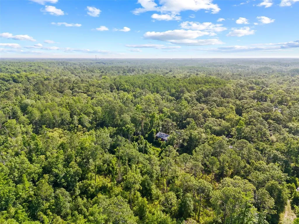 0 Dothan Street New Port Richey FL 34654
