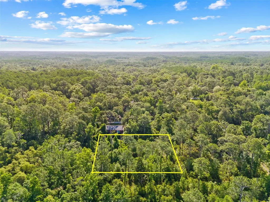 0 Dothan Street New Port Richey FL 34654