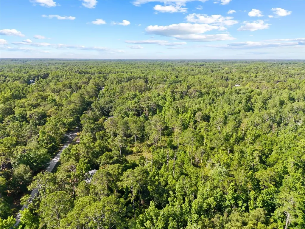 0 Dothan Street New Port Richey FL 34654