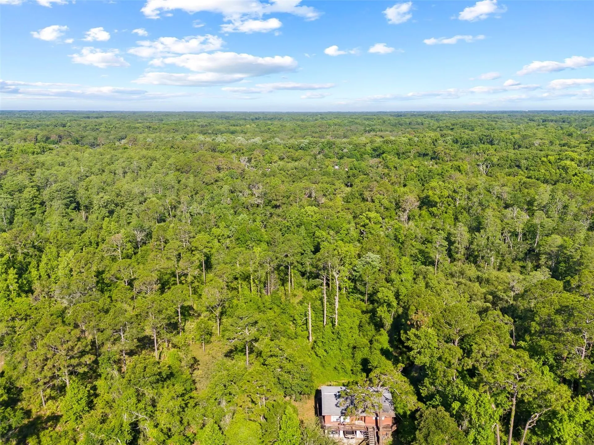 0 Dothan Street New Port Richey FL 34654