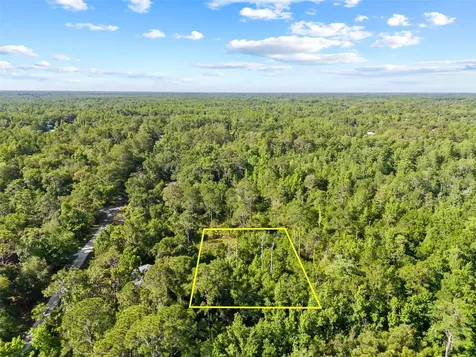 0 Dothan Street New Port Richey FL 34654