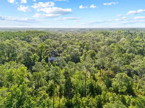 0 Dothan Street New Port Richey FL 34654