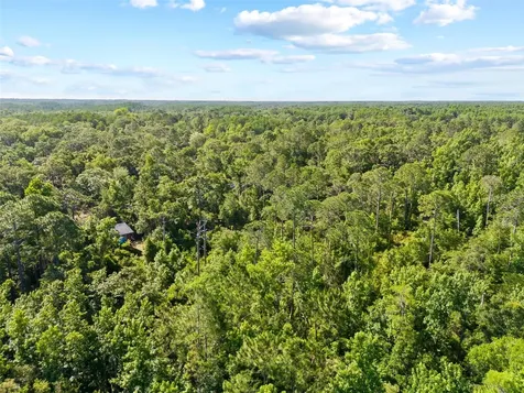 0 Dothan Street New Port Richey FL 34654