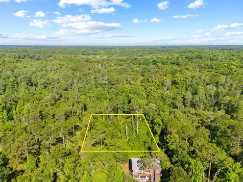 0 Dothan Street New Port Richey FL 34654